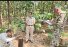 सरकारी सागौन प्लांटेशन से 21 पेड़ों की अवैध कटाई, वन विभाग ने आरोपी पर दर्ज किया मामला