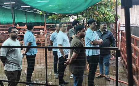 आयुक्त संबित मिश्रा ने फुण्डहर और गोकूल नगर गोधाम की व्यवस्थाओं का किया निरीक्षण