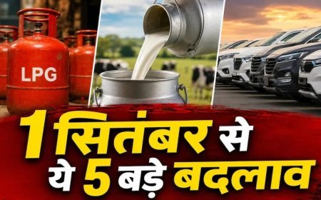 1 सितंबर से लागू हुए 5 बड़े बदलाव, LPG सिलेंडर से लेकर कार और दूध तक महंगा