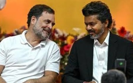 CM विजय ने राहुल गांधी को PM पद का उम्मीदवार चुना, कांग्रेस का दावा; TVK से विवाद से किया इनकार
