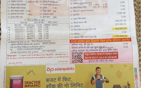 दुर्ग ग्रामीण की निकुम पंचायत का 35 लाख बिजली बिल बकाया, विभाग ने काटी बिजली
