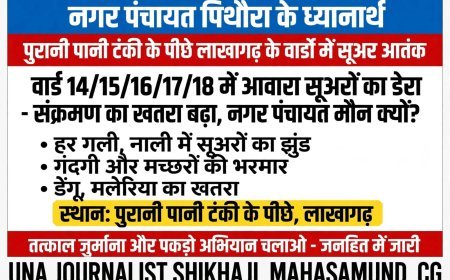 लाखागढ़ में आवारा पशुओं और सुअरों से बढ़ी परेशानी, गंदगी और बीमारी के खतरे के बीच कार्रवाई की मांग