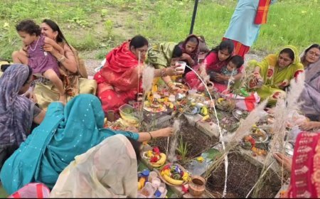 दुर्ग के गणपति विहार कॉलोनी फेस-4 में हर्षोल्लास से मनाया गया हलषष्ठी पर्व, महिलाओं ने संतान की सुख-समृद्धि के लिए रखा व्रत