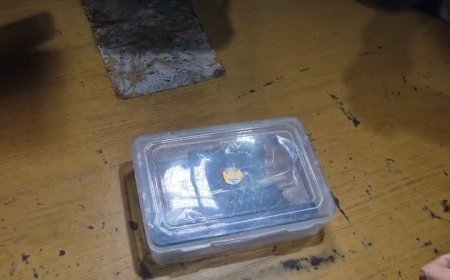 बिलासपुर में दो पक्षों के विवाद के बाद फायरिंग का खुलासा, सोहेल खान गिरफ्तार