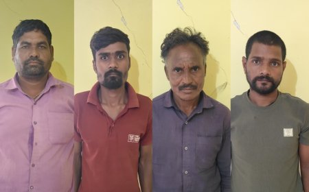 पंडरिया में मवेशियों को क्रूरतापूर्वक परिवहन कर रहे 4 आरोपी गिरफ्तार, 10 मवेशी और पिकअप जब्त