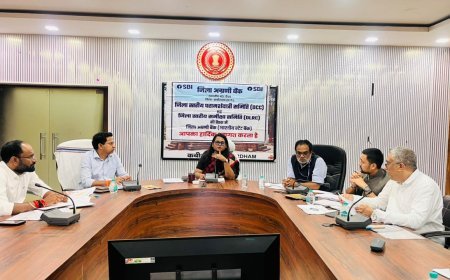 हितग्राहियों के आवेदन में न हो त्रुटि, लंबित प्रकरणों का जांच कर करें त्वरित निराकरण: कलेक्टर तुलिका प्रजापति