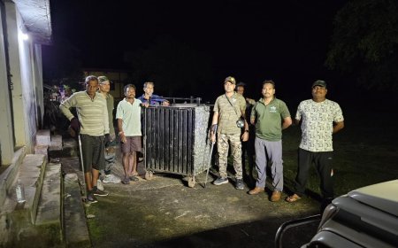 बालोद में रानीमाई मंदिर के पास घूम रहा घायल भालू पकड़ा गया, इलाज के लिए रायपुर जंगल सफारी भेजा