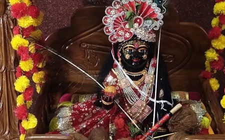 ग्राम नंदकठी में धूमधाम से मनाई गई कृष्ण जन्माष्टमी, भजन-नृत्य और दही लूट ने बांधा समां