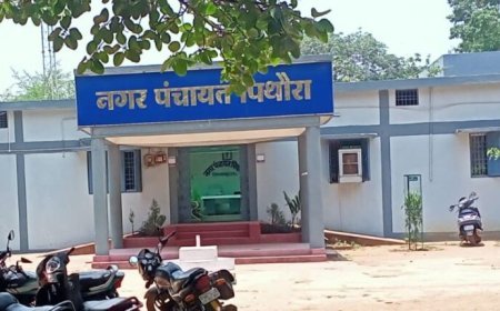 पिथौरा में मृत सुअर 15 घंटे तक पड़ा रहने का आरोप, लाखागढ़ तालाब क्षेत्र में गंदगी और संक्रमण के खतरे पर उठे सवाल