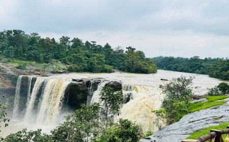 बारिश में दूधिया जलप्रपात बना आकर्षण का केंद्र, कलेक्टर रोक्तिमा यादव ने निहारा गौरघाट का प्राकृतिक सौंदर्य