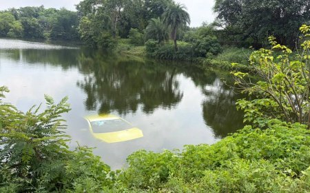 नशे में धुत तीन युवक कार समेत तालाब में गिरे, बाल-बाल बची जान
