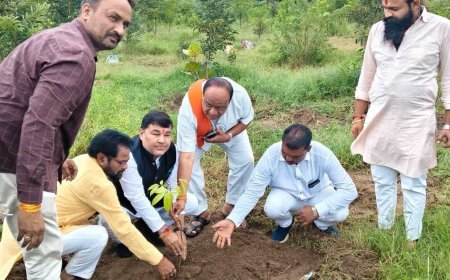चांद मोक्षधाम में रोपे पौधे, 11 हजार से अधिक वृक्षारोपण का लिया महासंकल्प