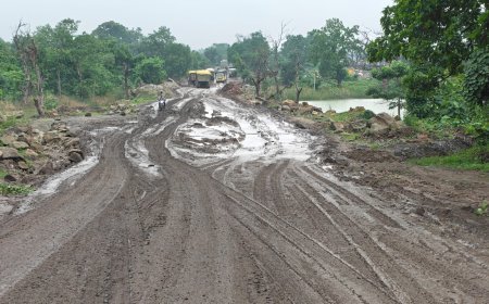 कागजों में चमकी सड़क, जमीन पर जानलेवा गड्ढे, छाल-एडू मार्ग की बदहाली से ग्रामीण परेशान