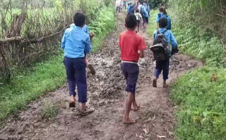 डिंडोरी के टिकरी-पिपरी गांव में कीचड़ भरे रास्तों की बदहाली, छात्राओं को स्कूल जाने में परेशानी
