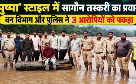 ‘पुष्पा’ स्टाइल में सागौन तस्करी का प्रयास, वन विभाग और पुलिस ने 3 आरोपियों को पकड़ा