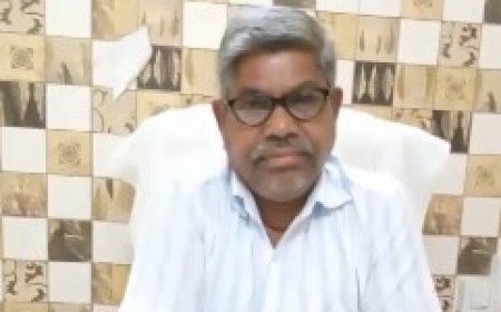UNA की खबर का असर: पिथौरा में जागा प्रशासन, सुअर मालिकों पर 1000 रुपये जुर्माने की कार्रवाई