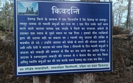 देवगढ़ किले के ऐतिहासिक बोर्ड को लेकर उठे सवाल, राजा जाटबा के इतिहास पर तथ्यात्मक चर्चा की मांग