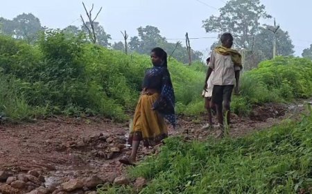 विकास के दावों के बीच दर्दनाक तस्वीर: बीमार बच्चों के इलाज के लिए पैदल चलने को मजबूर मां
