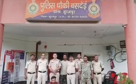 सूरजपुर में गांजा के पौधे जब्त, बसदेई पुलिस ने एक आरोपी को किया गिरफ्तार