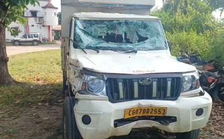 नगरी में भैंसों से भरी पिकअप पलटी, दो गिरफ्तार; दस्तावेज नहीं मिले