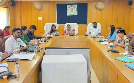कलेक्टर ने ली समय-सीमा की बैठक, सेवा संकल्प अभियान और डीएमएफ कार्यों की हुई समीक्षा