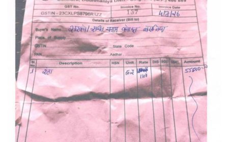 ग्राम पंचायत बसनिया की निविदा प्रक्रिया पर सवाल, बिलों और भुगतान को लेकर उठे गंभीर आरोप