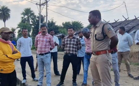 औंधी क्षेत्र में बाघ की दहशत, बैल का किया शिकार; बच्चों को स्कूल पहुंचाने वन विभाग चलाएगा वाहन