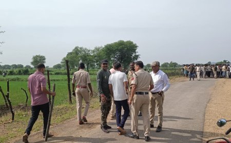 कबीरधाम के जैतपुरी में खेत में दिखा तेंदुआ, डायल 112 और वन विभाग की टीम ने संभाला मोर्चा