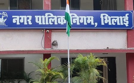 आरक्षण से बदला भिलाई का चुनावी गणित, कई दिग्गज पार्षदों के वार्ड आरक्षित