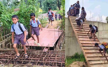 अधूरे पुल पर राष्ट्रीय मानवाधिकार आयोग का स्वतः संज्ञान, छत्तीसगढ़ के मुख्य सचिव को नोटिस