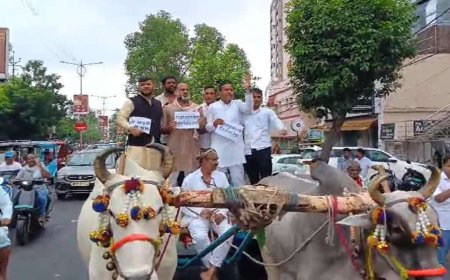खस्ताहाल सड़कों के खिलाफ युवा कांग्रेस का प्रदर्शन, बैलगाड़ी यात्रा निकाल नगर निगम को दी चेतावनी