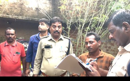घर की बाउंड्री में उगा रखा था गांजा, चितरंगी पुलिस ने आरोपी को किया गिरफ्तार