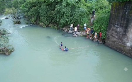 स्टॉप डैम में मछली पकड़ने के दौरान हादसा, भांजे को बचाने कूदे मामा समेत दो की मौत