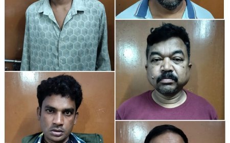 नंगरानाला जंगल में जुए की महफिल पर नगरी पुलिस की दबिश, 5 आरोपी गिरफ्तार