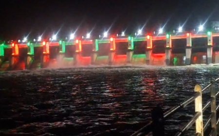 रात में रंग-बिरंगी रोशनी से जगमगाया गंगरेल डैम, सातों गेट खुले तो दिखा अद्भुत नजारा