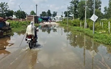 गरियाबंद में बारिश ने खोली जलनिकासी व्यवस्था की पोल, पुराने नीम रपटा में फिर जलभराव