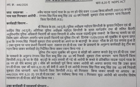 चितरंगी पुलिस की नशे के खिलाफ बड़ी कार्रवाई, घर की बाउंड्री से गांजे के 8 पौधे बरामद
