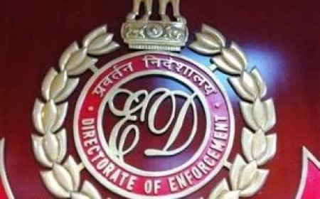 CGPSC घोटाला: एडिशनल कलेक्टर चेतन बोरघरिया की गिरफ्तारी के बाद ED के बड़े दावे, 66.64 लाख के लेन-देन की जांच