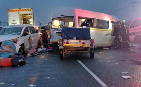 दक्षिण अफ्रीका में भीषण सड़क हादसा, दो मिनीबस टैक्सियों की टक्कर में 21 लोगों की मौत; कई गंभीर