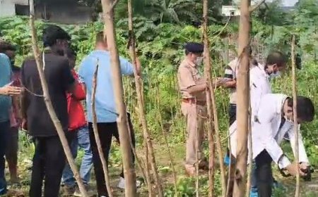रायगढ़ में युवक की हत्या से सनसनी, पुराने बस डिपो में मिला शव; दो-तीन संदिग्धों पर पुलिस की नजर