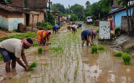 CG News: PMGSY सड़क की बदहाली से परेशान ग्रामीण, मरम्मत की मांग को लेकर सड़क पर की धान रोपाई