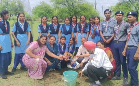 कबीरधाम के सभी स्कूलों में एक साथ हुआ वृक्षारोपण, स्काउट-गाइड विद्यार्थियों ने लिया पौधों की देखरेख का संकल्प