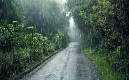 CG Weather Today: छत्तीसगढ़ में कमजोर पड़ा मानसून, रायपुर में बढ़ी गर्मी; 4 दिन बाद बारिश बढ़ने के संकेत