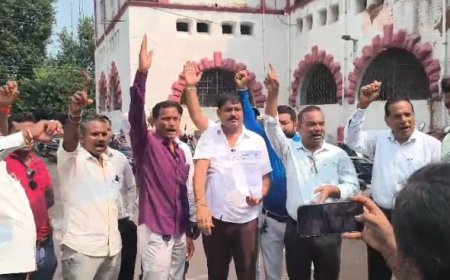 दुर्ग में बिजली बिल बकाया को लेकर ग्राम पंचायतों की लाइट कटी, सरपंच संघ ने कलेक्टर को सौंपा ज्ञापन