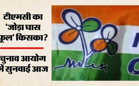 TMC ‘जोड़ा घास फूल’ चुनाव चिह्न विवाद पर आज सुनवाई, ममता और ऋतब्रत गुट चुनाव आयोग के सामने रखेंगे पक्ष