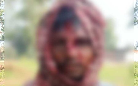 उदंती सीतानदी टाइगर रिजर्व में दो युवकों पर भालुओं का हमला, एक घायल