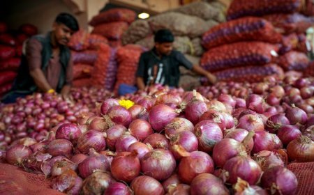 प्याज ने फिर निकाले आंसू, एक साल में 94% तक बढ़ी कीमत, सरकारी ₹35 वाली प्याज से भी नहीं मिली राहत