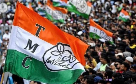 Morning News Brief: TMC का नाम-चिन्ह फ्रीज, अभिषेक शर्मा की रिकॉर्ड सेंचुरी और टाटा संस से जुड़ी बड़ी खबरें