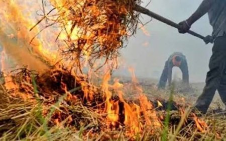 पराली जलाने पर अब कसेगा शिकंजा, खेत 15 महीने तक रहेगा रेड कैटेगरी में