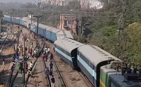 भानुप्रतापपुर में ट्रेन-ट्रक की चपेट में आने से 14 मवेशियों की मौत, मुआवजे की कार्रवाई शुरू